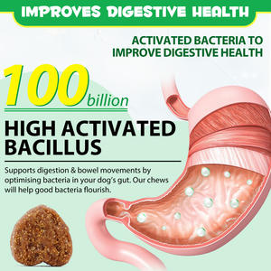 Integratore Nutrizionale Masticabile Pre e Probiotico per Animali Domestici OEM a Marchio Privato per la Salute Intestinale, Pelle, Pelo, Allergie e Sistema Immunitario dei Cani - Product Image 3