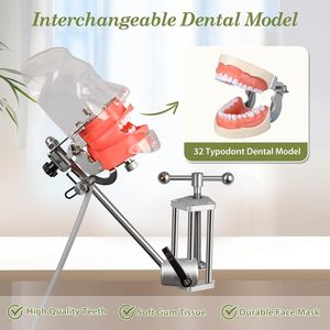 factory direct Dental Manikin <b>Head</b> with 32 Typodont Teeth Model Dental Typodont Mount Fixed on Table Dental <b>Mannequin</b> <b>Head</b> - Product Image 2