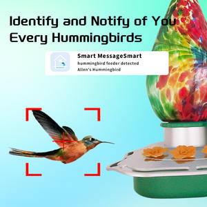 Caméra intelligente solaire à vente chaude aux États-Unis, caméra WIFI à distance HD pour l'observation des oiseaux, mangeoire à oiseaux intelligente en verre - Product Image 6