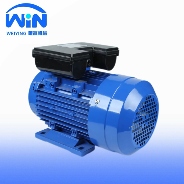 IEC Standard TEFC 220V 1.5HP-5HP Single Phase Induction Motor IE3 Efficiency IP55 Protection 50/60Hz for Pumps Fans Compressors