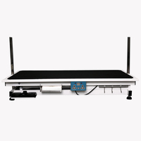 Table de toilettage électrique pour animaux de compagnie MT MEDICAL, table de toilettage pour animaux de compagnie, table de séchage longue pour chiens