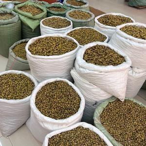 Sỉ nhà máy thảo dược truyền thống Trung Quốc nguyên chất mới, chiết xuất thành phần Dendrobium Dendrobium Officinale - Product Image 4