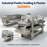 Plumeuse automatique pour abattoir de volailles, 3000 BPH, en acier inoxydable SUS304, pour l'épluchage des poulets en usine de transformation