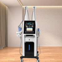 Appareil multifonction amincissant 5 poignées, liposuccion sous vide, masseur à rouleaux 360°, raffermissant visage, réduction des rides