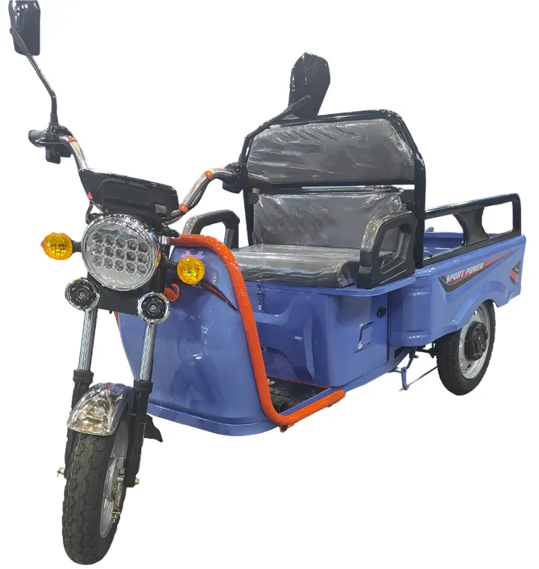 2024 Ventas directas de fábrica 500W Triciclo para adultos Scooter eléctrico de 3 ruedas de alta calidad con el mejor precio Alta calidad para la Agricultura