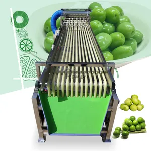 3M Cherry Ome Plums Sorter Kiwi Grape Grader Roller Sizer Olive Strawberries Sorting Machine Fruits Vegetable Grader By Size