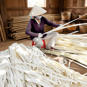 Feuilles de palmier Corypha Lecomtei en petite quantité de Vietnam (An Giang) - Livraison rapide et durée de conservation de 18 mois - Product Image 1