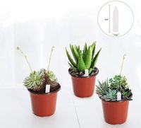 Grands pots de fleurs en plastique PP pour plantes d'extérieur, pépinière, jardin