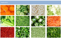 Coupe-légumes automatique Coupe-légumes multifonctionnel Oignon vert Coriandre Ciboulette Poireau Trancheuse de légumes