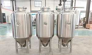 Precio de fábrica 350L Fermentador Tanque de fermentación de acero inoxidable para cerveza Vino Elaboración de ingeniería biológica - Product Image 2