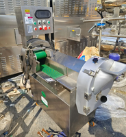 Beste prijs anti-corrosie zware uitvoering elektrische multifunctionele groente- en fruitverwerkingsmachine met twee messen voor