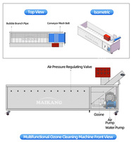 Lavadora Esterilizadora de Ozono Automática Industrial de Alto Rendimiento, Equipo Multifuncional para el Procesamiento de Frutas y Verduras