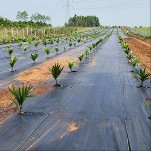 3.2oz 3.5oz cảnh quan cỏ dại rào cản vải nhiệm vụ nặng nề cảnh quan cỏ dại Mat che phủ mặt đất - Product Image 2