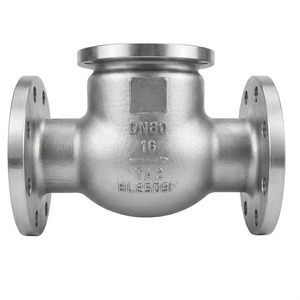 วาล์วกันกลับไทเทเนียมคุณภาพสูง DN80 แบบหน้าแปลน PN16 - Product Image 3