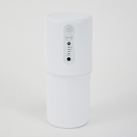Diffuseur d'huiles essentielles compact, machine à parfum d'ambiance, nébuliseur d'arômes avec garantie d'un an