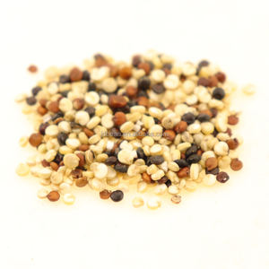 सफेद लाल काले तिरंगा में थोक कार्बनिक क्विनोआ बीज - Product Image 2