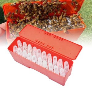 Nueva Caja <span class=keywords><strong>Jaula</strong></span> para Abejas Reinas, Caja de Transporte para Apicultura, Caja de Correo, <span class=keywords><strong>Jaula</strong></span> para el <span class=keywords><strong>Rey</strong></span>, <span class=keywords><strong>Jaula</strong></span> para Abejas, Protege <span class=keywords><strong>la</strong></span> Celda de <span class=keywords><strong>la</strong></span> Reina - Product Image 2