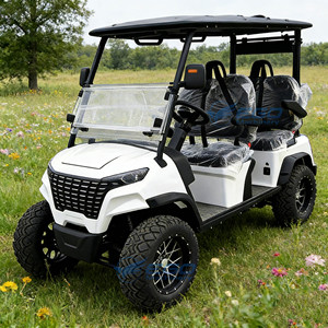 Proveedor de Carritos de Golf de Alta Calidad en Venta, Carritos Especiales para Turismo/Golf, Carrito de Golf para Turismo al Aire Libre - Product Image 4
