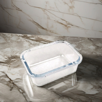Boîte à Bento pour Enfants, Conteneur Alimentaire Rectangulaire au Design Classique « Easying » avec Couvercle Verrouillable et Couvercle en PP, Idéale pour le Camping