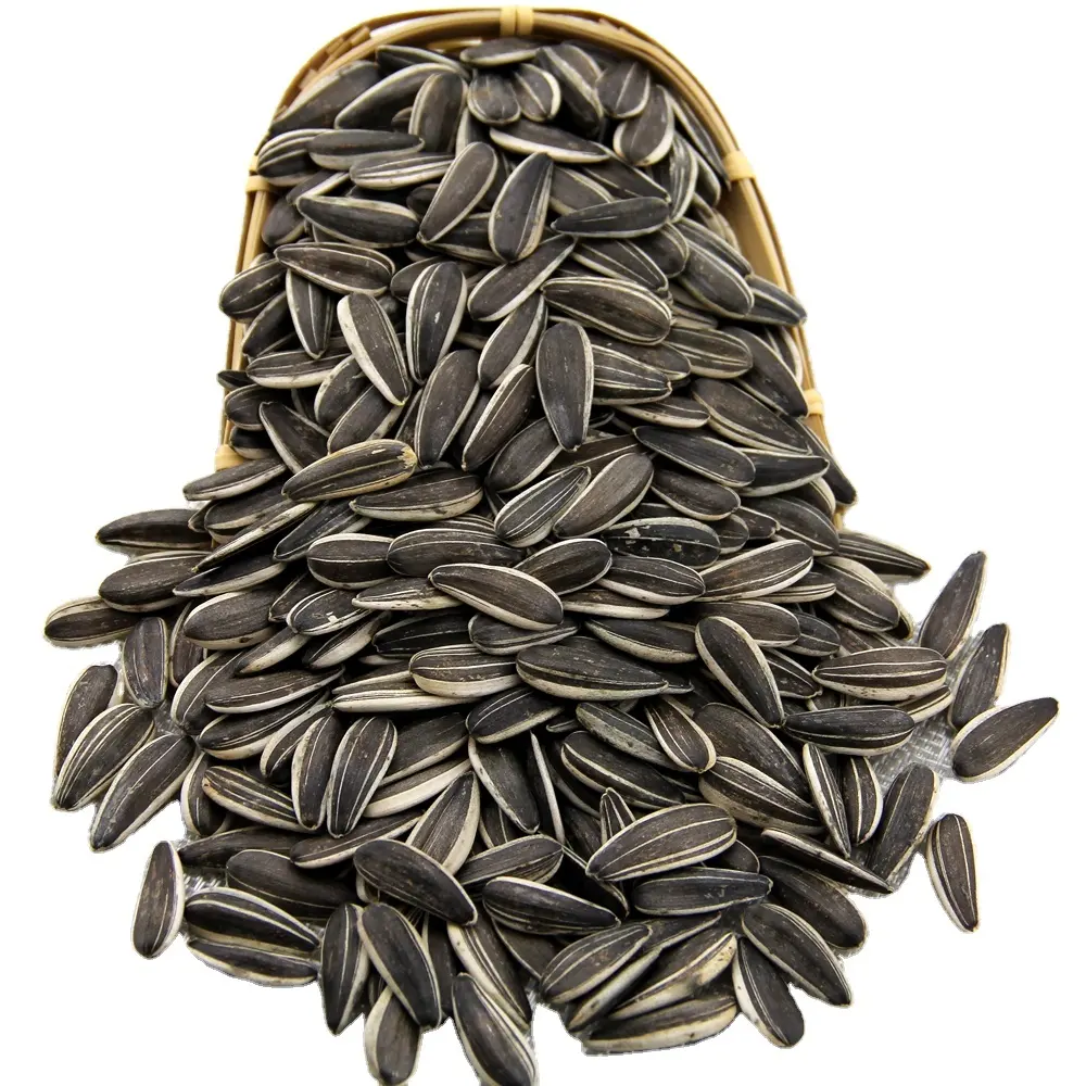 Wholesale Chinese Factory Cheap Price Non GMO High Quality Good Price sunflower seeds for sale