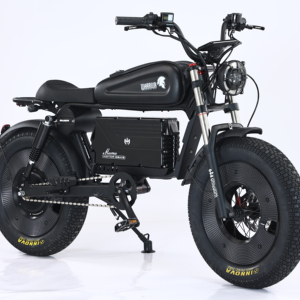 Bicicleta Eléctrica de Montaña para Adultos 48V 1000W con Llantas Anchas, Velocidad de 25MPH, Batería Extraíble, Bicicleta Todoterreno - Product Image 1
