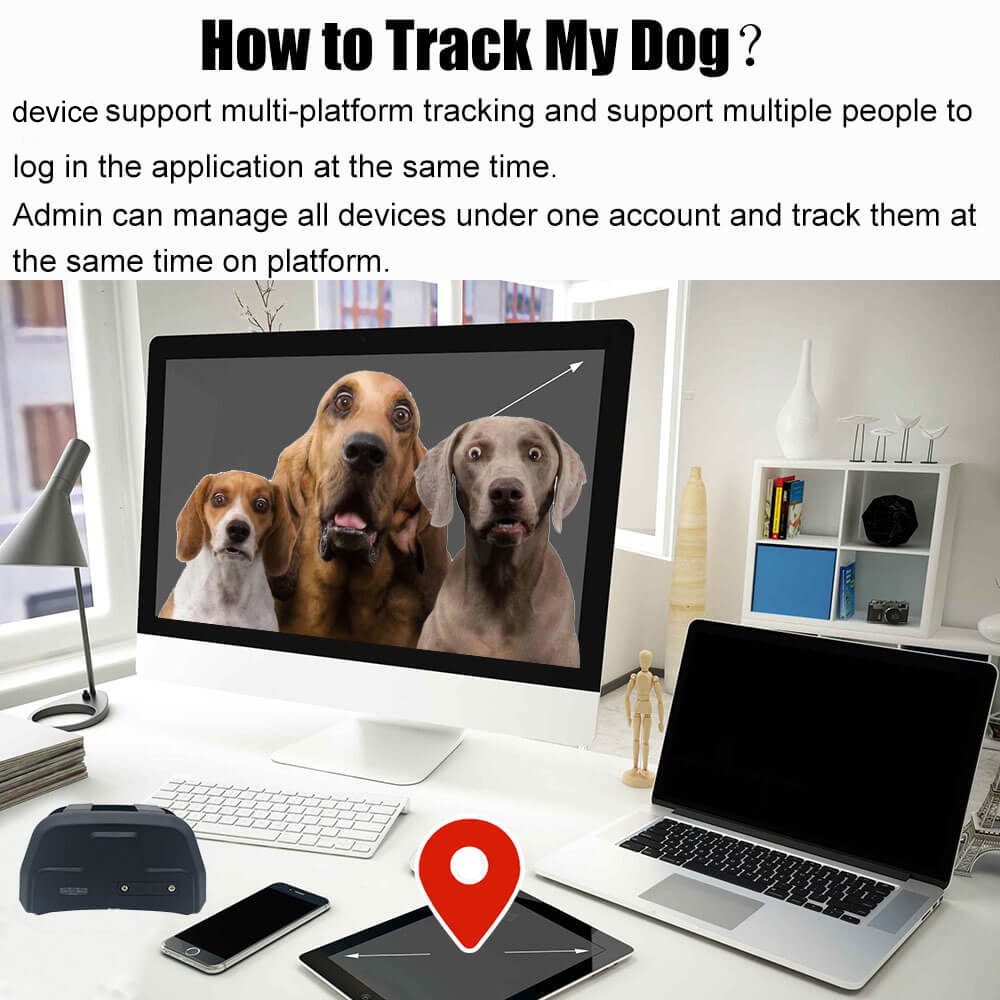 Ip67 Waterproof Hunting Dog Gps Tracker With 4000mah Buy Gps Tracker
