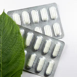 Cápsulas de carnitina OEM Acetil-L 500 mg Aminoácidos para perda de peso, cognição, memória mental, atenção, cérebro e função das células nervosas