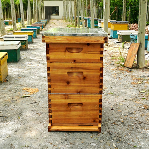 Colmena Langstroth MengerBee de Alta Calidad, Material de Abeto Chino, Recubierta de Cera, Modelo B-7L, Juego Completo, 1 Año de Garantía, Nueva para Apicultura - Product Image 1