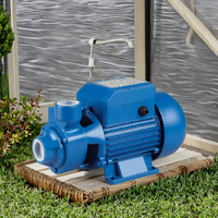 TECHNIC POWER 0.75HP QB70 0.55KW Pompe de jardin auto-amorçante Pompe à eau électrique Irrigation de surface