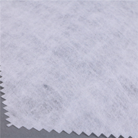 Tissu non tissé soluble dans l'eau à 90 degrés dissous dans l'eau chaude pour le papier de support de broderie
