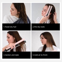 RUCHA Lisseur et Sèche-Cheveux 2 en 1, Utilisation à Sec et Humide, Styler à Air Chaud Portable
