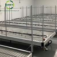 Usine fournissant l'alliage d'aluminium utilisé banc roulant de système de seau de reflux et de flux de serre pour la plantation de fleurs végétales