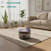 Fontaine à eau intelligente sans fil avec lumière ambiante RVB 13 couleurs, minuterie à induction, silencieuse, de qualité alimentaire pour animaux, avec autonomie ultra-longue