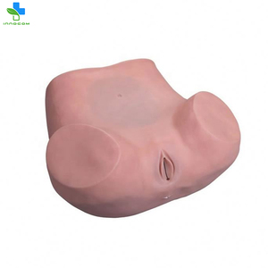 चिकित्सा विज्ञान यथार्थवादी संरचनात्मक मॉडल ज्वलंत प्रशिक्षण मॉडल Gynecological श्रोणि परीक्षा मॉडल के लिए शिक्षा शिक्षण - Product Image 3
