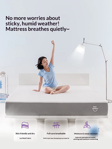 Надувной матрас TPE с 3D-сетчатой структурой, дышащий, эргономичный дизайн, размер Queen, вакуумная компрессия, съемный чехол, сертифицирован Certipur-US - Product Image 3