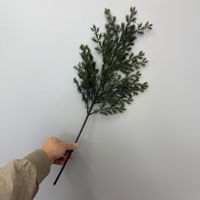 Fleurs séchées, feuilles de sapin, verdure, feuillage d'épicéa, branches décoratives pour aménagement paysager, aiguilles de pin pour décors de musée