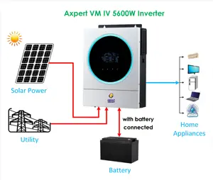 China 3.5 5.5kw 5kva Off Grid Solar Inverter 24V 48V Ingebouwde 100a Mppt Solar Laadregelaar pure Sinus Hybride Inverter
