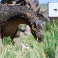 Parc d'aventure avec dinosaures animatroniques grandeur nature pour l'intérieur et l'extérieur