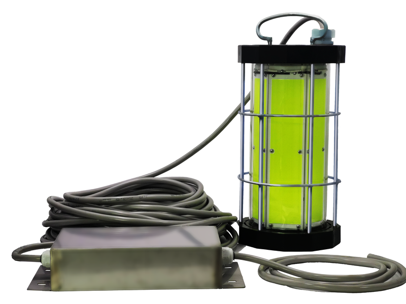 IP68 Rated 3000W Green COB LED