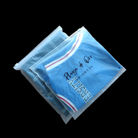 Sacs en plastique givré recyclables avec logo personnalisé, fermeture éclair, impression sérigraphique pour vêtements et chaussures, sacs à main pour t-shirts, MOQ 200 pièces