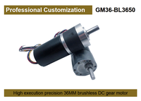 Motor DC Mikro SLW Designs 12V 24V Diameter 36MM Motor Gear Planetary DC 300RPM 500RPM Motor Gear DC