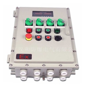 กล่องควบคุมการระเบิด bxmd ขนาด300X500x200มม. แผงการกระจาย10A ปัจจุบันของ EXE IP65 - Product Image 4