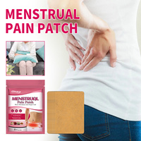 Fournitures de soins de santé nouveauté haute qualité à base de plantes formule période Pad soulagement de la douleur féminin menstruel crampe soulagement Patch