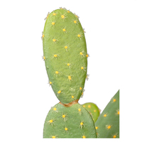 Palme de Cactus artificielle de 84cm pour la décoration de bureau, exportation de la chine