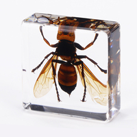 Cadeaux en résine d'insectes très demandés : petits insectes en résine, scorpions réels, cadeaux promotionnels, insectes réels en ambre en résine