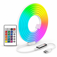 Set Lampu Neon RGB dengan Remote Kontrol Inframerah 24 Tombol USB 1-5 Meter