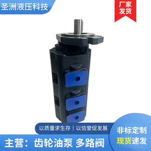 Pompe à engrenages triple haute pression Shengzhou Hydraulics JHP 80/80/63 pour plateforme de forage et chargeuse - Product Image 2