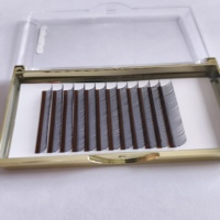 Nouvelles extensions de cils 5D effet éventail naturel, plateaux de cils floraux, fournitures pour extensions de cils, cils individuels effet fée, aspect mouillé