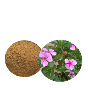 ผู้ผลิตขายร้อนหอยขมสารสกัดจากผง <span class=keywords><strong>Catharanthus</strong></span> <span class=keywords><strong>Roseus</strong></span> (Linn.) G. G. สารสกัดจาก Don - Product Image 2