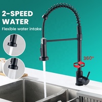 Robinet de cuisine SEETOP classique flexible en acier inoxydable noir avec douchette extractible double fonction et deux sorties d'eau 360°